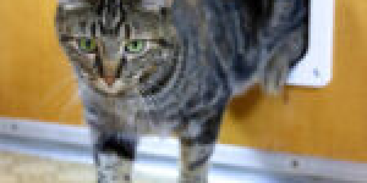 The 10 Most Infuriating Cat Flap Installer Company Mistakes Of All Time Could Have Been Avoided