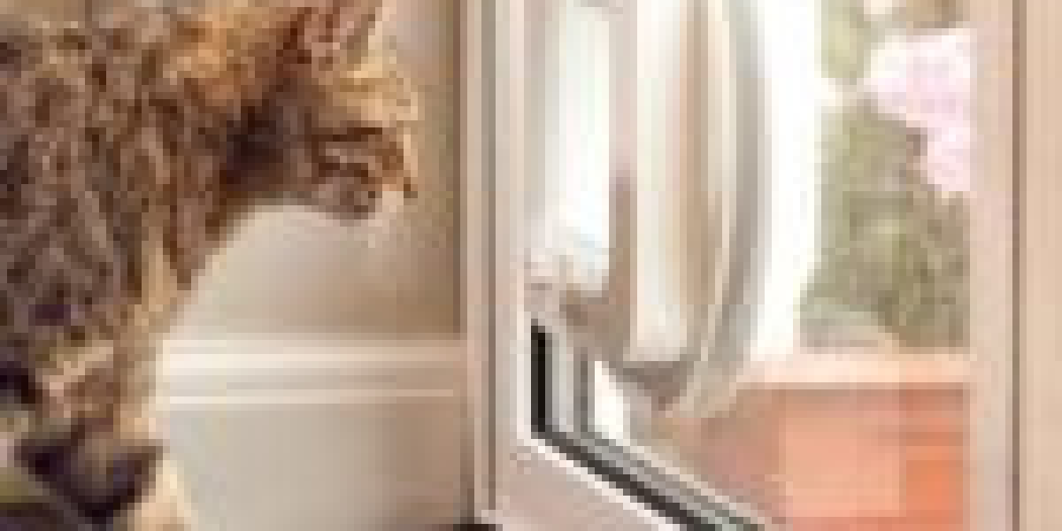 11 Strategies To Refresh Your Custom Cat Flap Installation